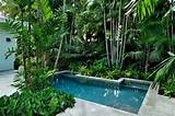 Tropical Pool Landscaping Pictures