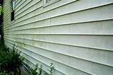 Pictures of Vinyl Siding Mold Removal