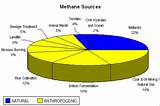 Images of Methane Gas Effects On Humans