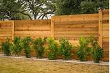 Photos of Fence Wood For Sale
