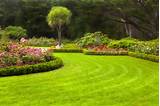 Lawn Care And Landscaping Pictures