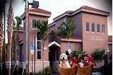Animal Medical Clinic Of The Palm Beaches Pictures