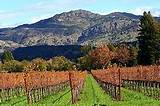 Boutique Hotels In Napa Valley