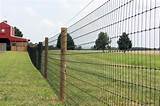 Images of Gaucho High Tensile Field Fence