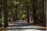 Images of Lower Pines Campground Reservations