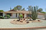 Cactus Landscaping Design Photos