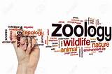 Images of Online College Courses Zoology