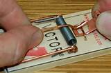 Victor Mouse Trap Instructions Pictures