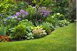 Images of Garden Zone Landscaping Design