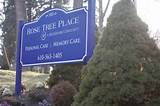 Rose Tree Place Assisted Living Media Pa