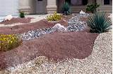 Pictures of Yard Landscaping Desert