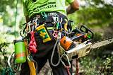 Images of Arborist Climbing Harness
