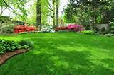 At Your Service Lawn Care And Landscaping Photos