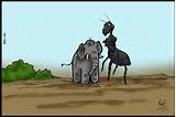 Images of Elephant And Ant Jokes