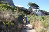 Pictures of Table Mountain Hike South Africa