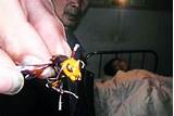 Pictures of Killer Chinese Wasp