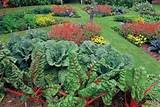 Edible Garden Landscaping Pictures