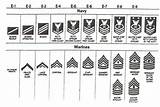 Images of Navy Ranks In Order Enlisted