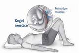 Pictures of Relaxing Pelvic Floor Muscle Exercises