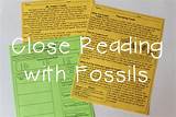 Fossils Reading Comprehension Photos