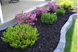 Backyard Landscaping Shrubs Images