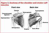 Rotator Cuff Muscle Strengthening Exercises Images