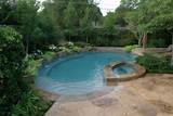 Images of Pool Landscaping Hamilton