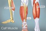 Pictures of Front Calf Muscle Exercise