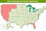 Termite Distribution Images