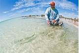 Pictures of Bone Fishing Nassau Bahamas