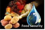 Pictures of Food Security Threats