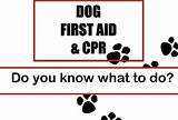 Images of Free Cpr Classes In Delaware