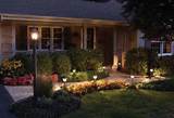 Solar Lights In Front Yard Pictures