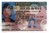 Images of Florida Boat Dealer License Requirements