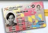 How To Get A Maryland Driver''s License
