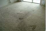 Pictures of Mold Removal Boca Raton