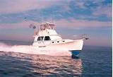 Photos of Wilbur Yachts For Sale