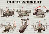 Upper Chest Exercises Pictures