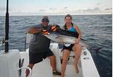 Miami Beach Fishing Charters Pictures