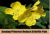 Photos of Evening Primrose Oil Psoriasis Treatment
