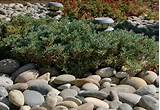 River Rocks For Landscaping Pictures