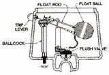 Images of Universal Rundle Toilet Parts