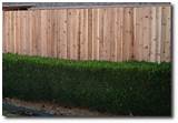 Pictures of 8 Ft Tall Privacy Fence Panels