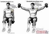 Muscle Workouts Using Dumbbells Images