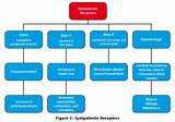 Crm Cardiology Images