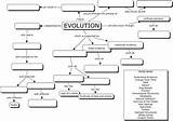 Key Concepts Of Darwins Theory Of Evolution Photos