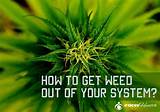 How To Get Marijuana Out Of System