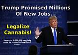 Trump To Legalize Marijuana Pictures