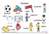 What Are The Equipment Used In The Game Of Soccer