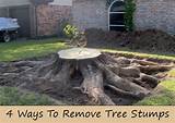 Images of Stump Removal Home Remedies
